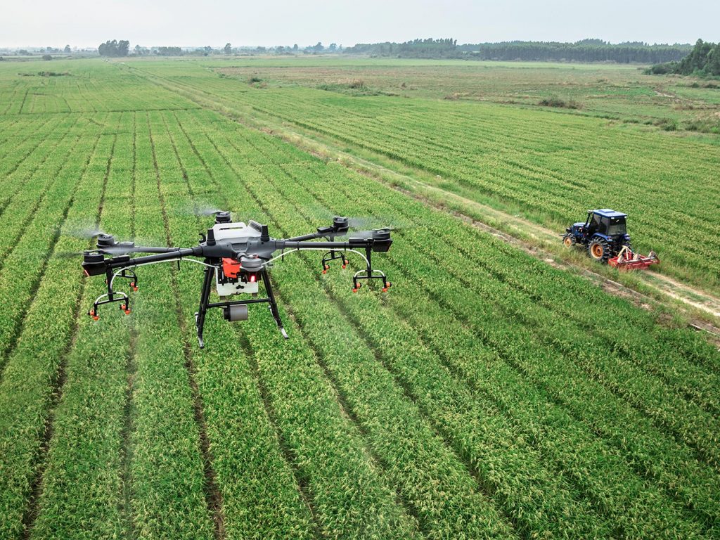IoT Agriculture